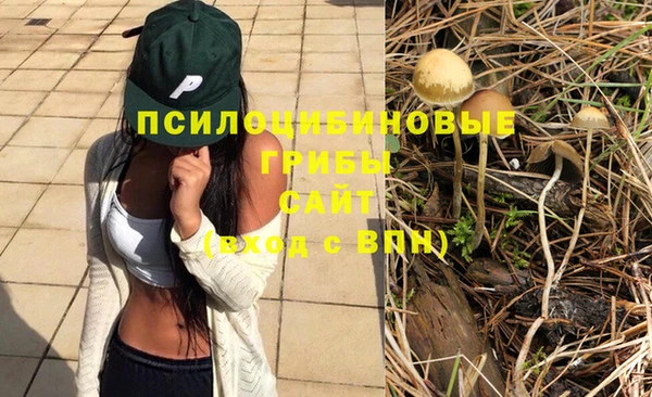 марки lsd Михайлов