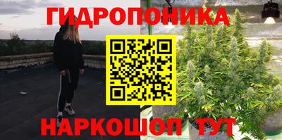 гидропоника Бийск