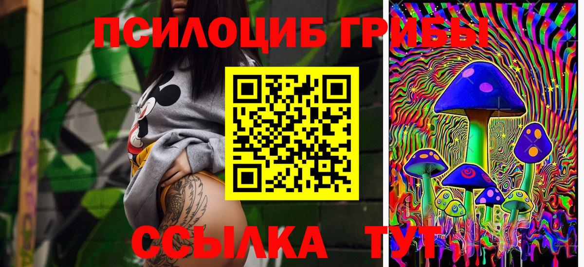 Галлюциногенные грибы Cubensis  Мыски 