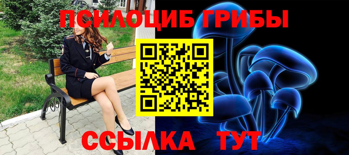 Галлюциногенные грибы мицелий Мыски