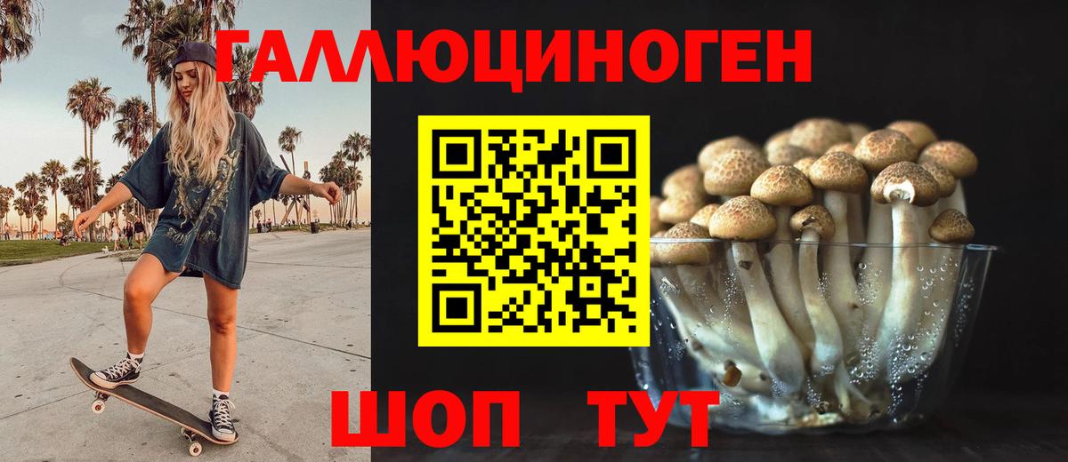 Мыски  Псилоцибиновые грибы GOLDEN TEACHER  где купить наркотик  Вход с VPN 